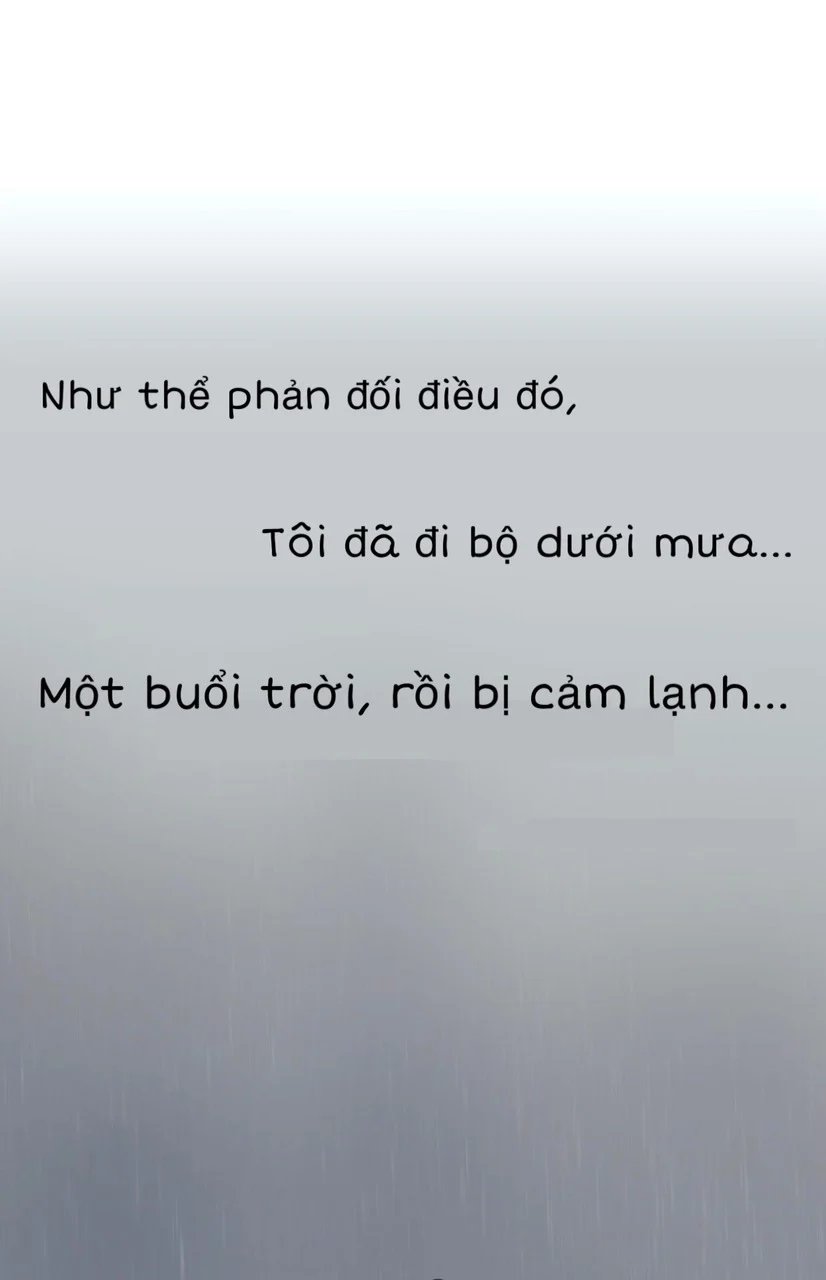 summer solstice point chapter 4 24