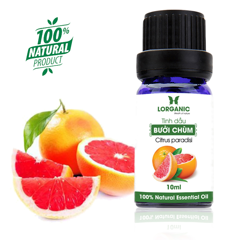 Tinh dầu bưởi chùm Citrus paradisi 10ml/  Hương thơm ngọt ngào, ấm áp/ Tinh dầu thiên nhiên nguyên chất xông phòng, thư giãn tinh thần, giảm chứng mất ngủ, khử mùi hiệu quả/ Thích hợp dùng với đèn xông và máy khuếch tán.