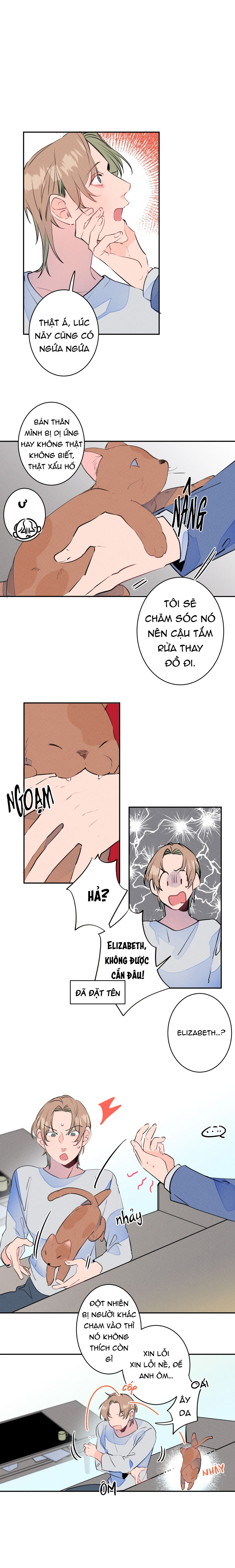 cưới anh hả?! được luôn! chapter 8 12