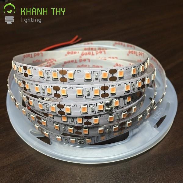 Led dây 12v 2835 ánh sáng màu đỏ, màu hồng, xanh dương, xanh lá có keo