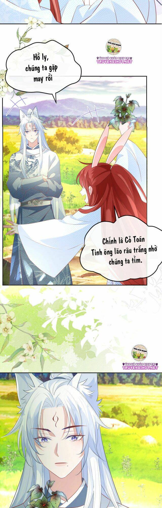 hắc hóa nam chính trực tuyến nuôi thỏ chapter 19 2