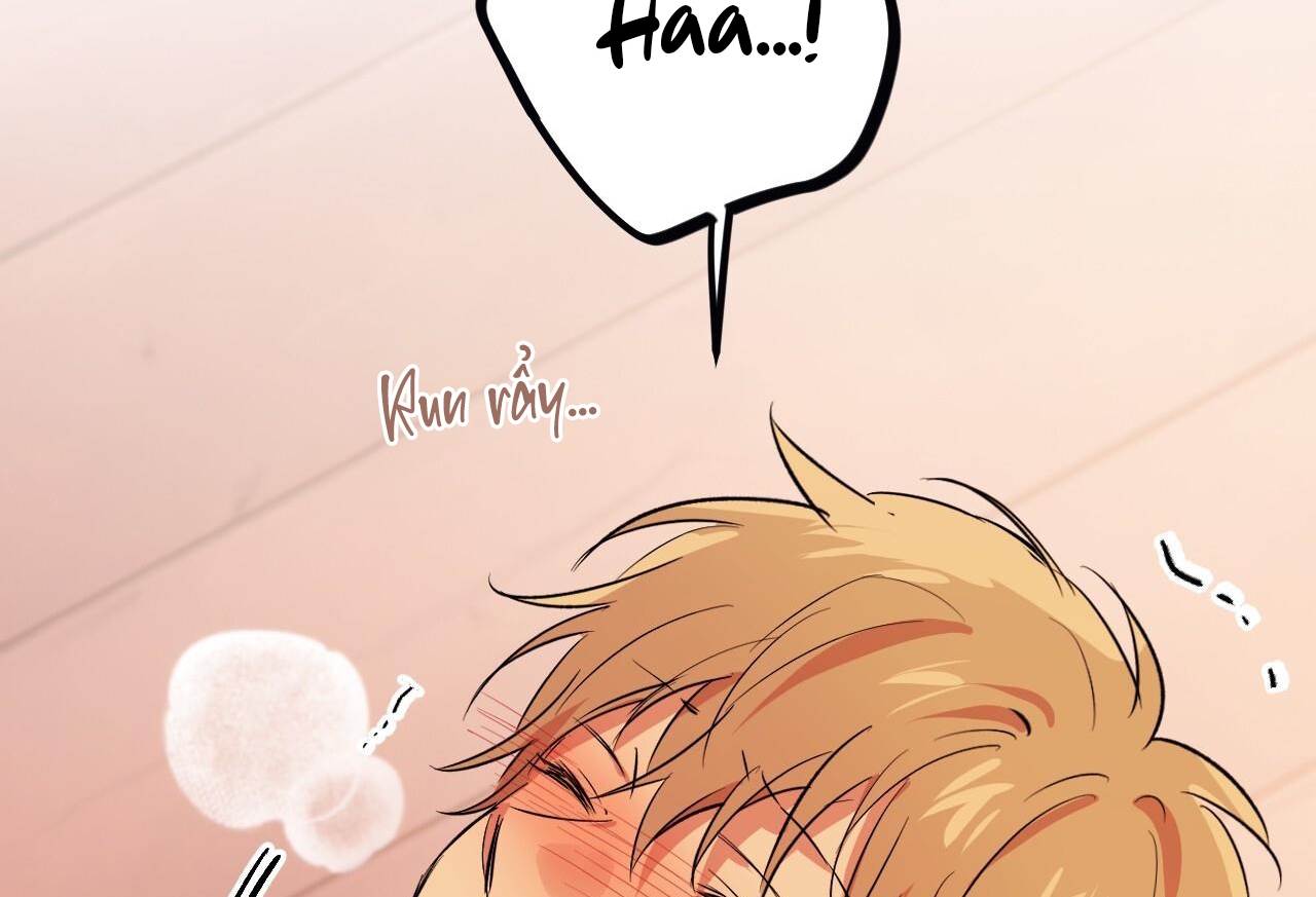 đàn thỏ của habibi chapter 64 16