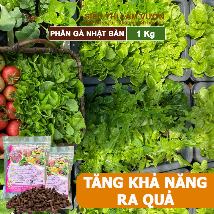 Phân Gà Greenhome, Bao 1kg, Nhập Khẩu Nhật, Viên Nén, Hữu Cơ Bón Rau, Quả