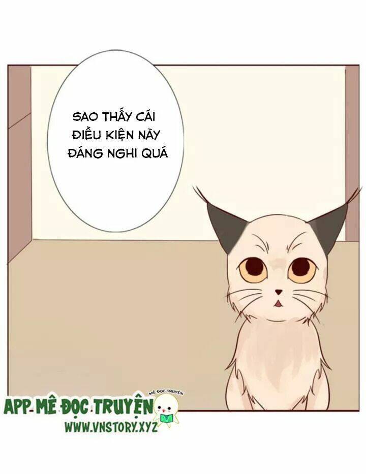 hồ tiên này không tin được chapter 10 21