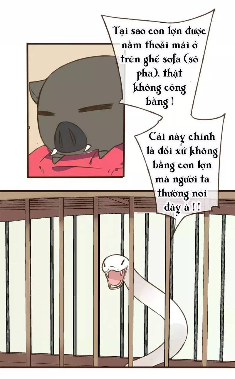 trên trời rớt xuống một hòa thượng ngốc chapter 38 36