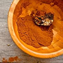 chaga