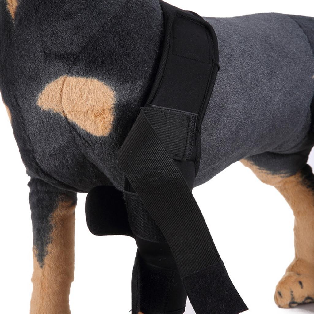 Dog Leg Brace Knee Leg Joint Protector Support Prevents Injuries and Sprains