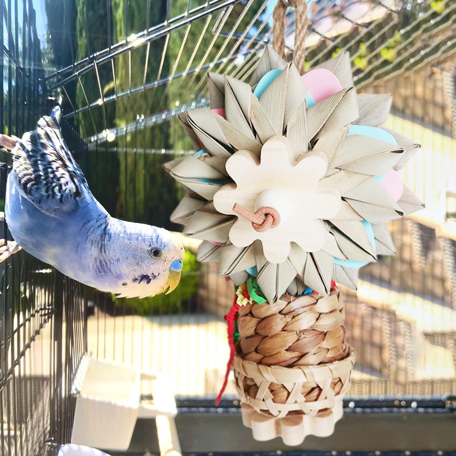 Bird Parrot Toy, Decorative Hanging Wooden Funny Parrot Cage Bite Toys Bird Chewing Toy for Cockatiel Training Parakeet Parrots Playing