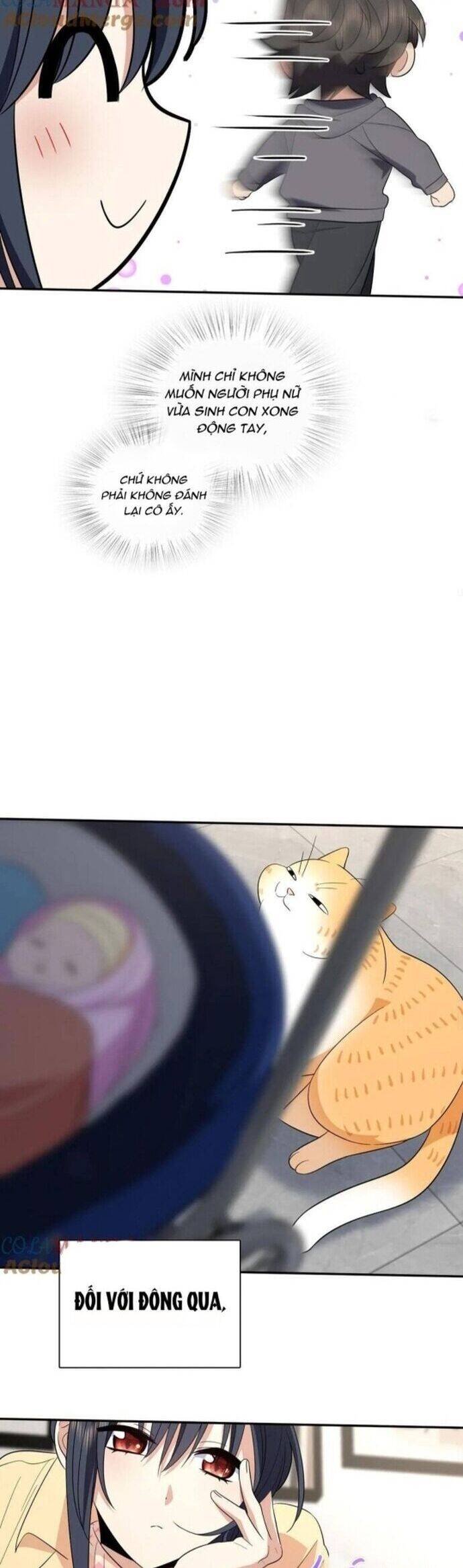 Bà Xã Nhà Tôi Đến Từ Ngàn Năm Trước chapter 342 11