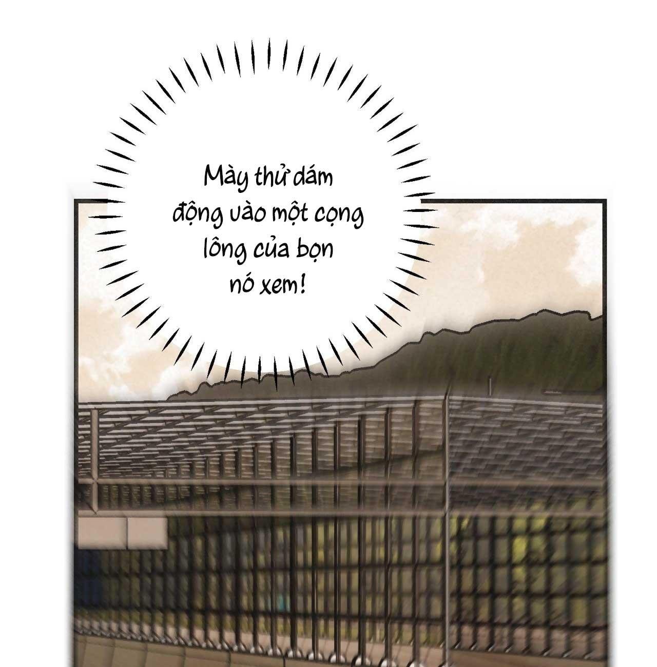 băng đảng samgeori chapter 28 7