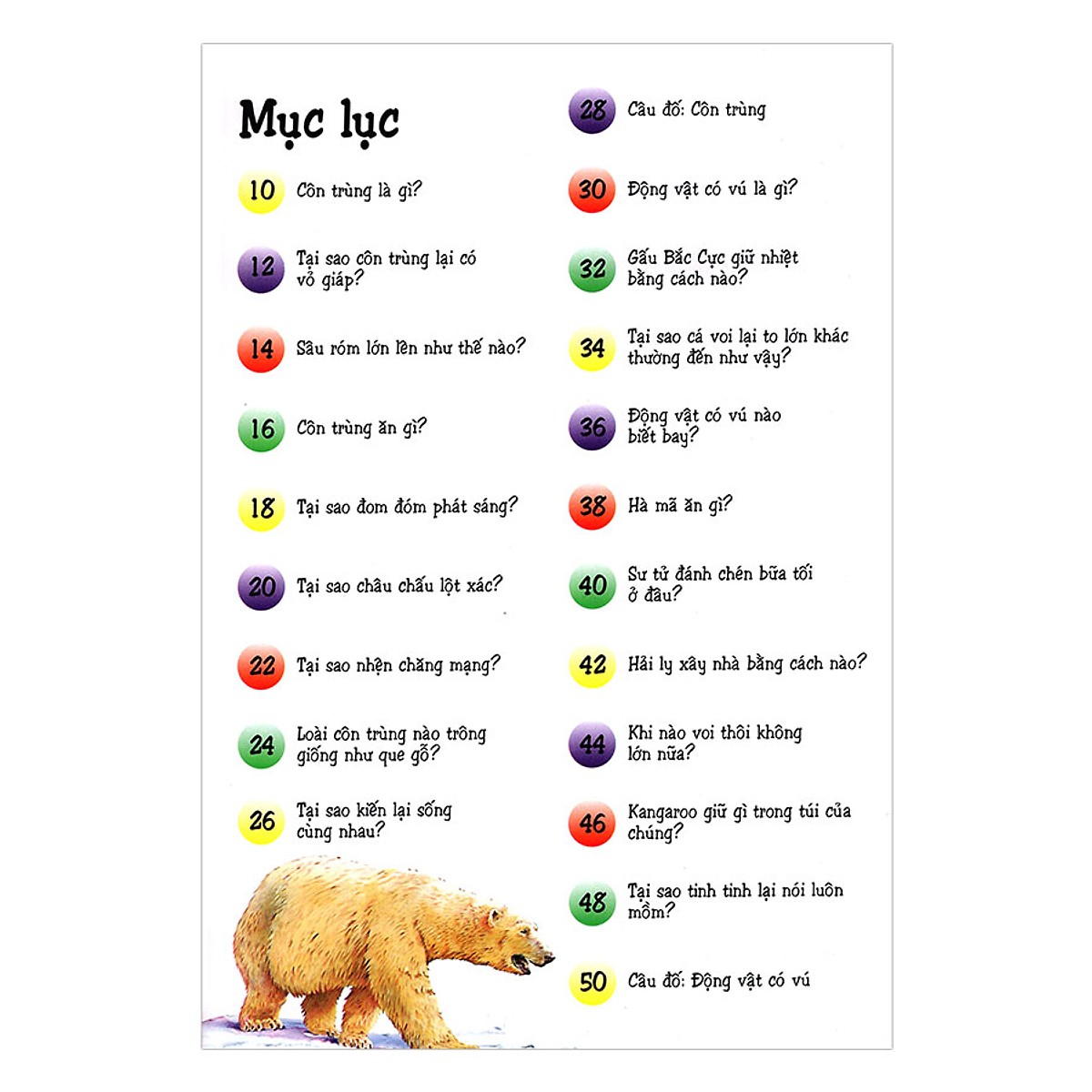 Khám Phá Thế Giới Động Vật Tặng Bộ Thẻ FlashCard Giáo dục Sớm Trẻ Thông Minh Chủ Đề Động Vật