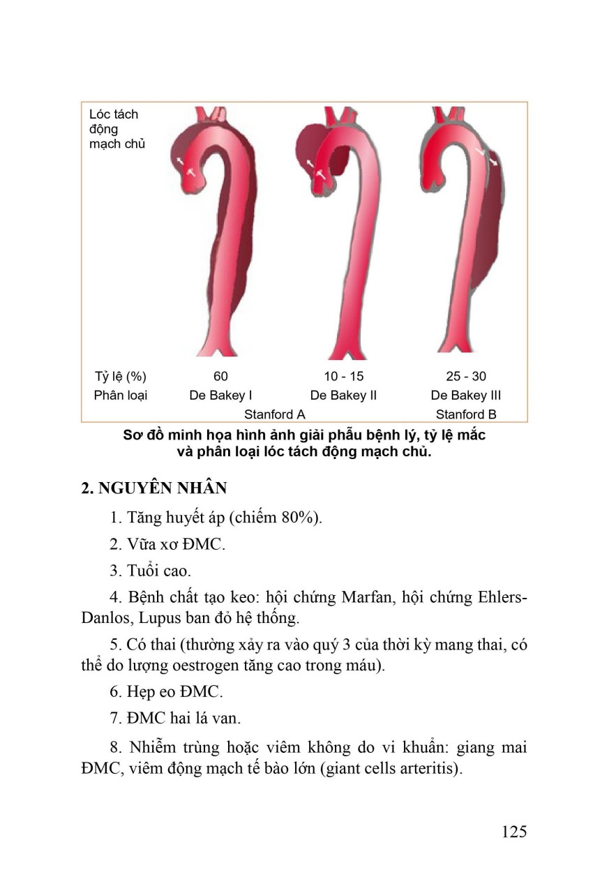 Sách - Thực hành cấp cứu tim mạch (Y)