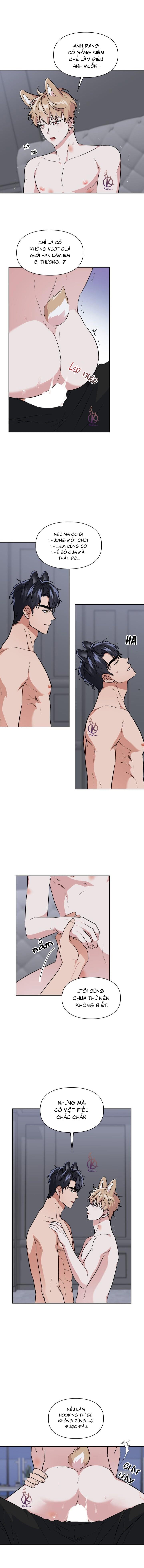 mồi nhử chapter 63 6