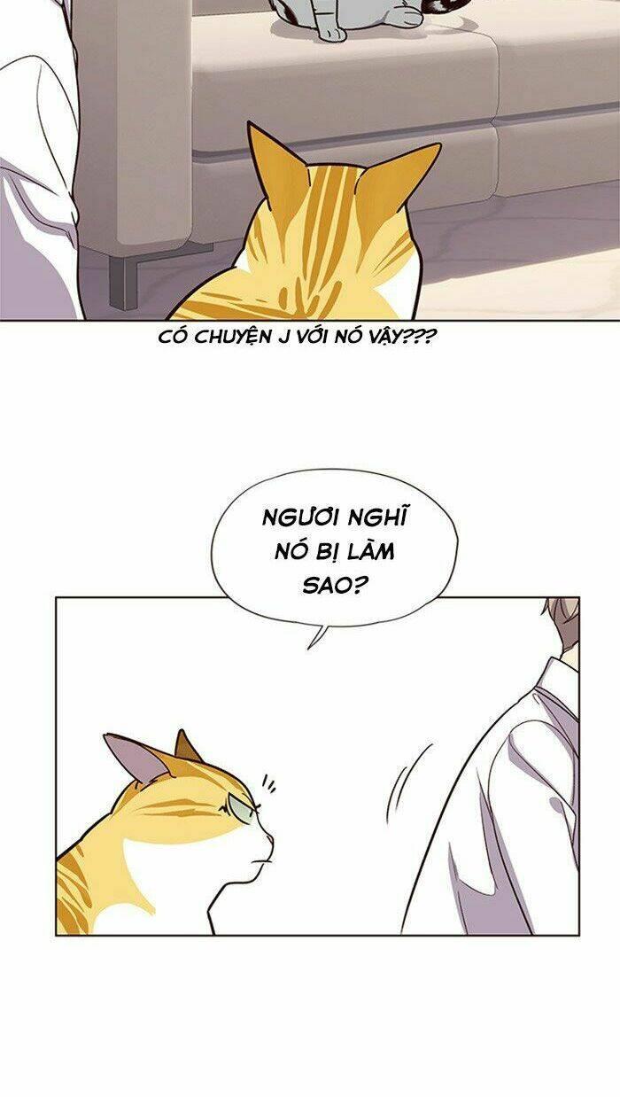 biến thân thành mèo chapter 10 22