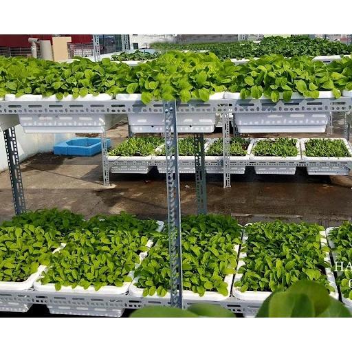 Kệ sắt v lỗ x cao nhiều kích thước ,dùng sắt v4x4cm