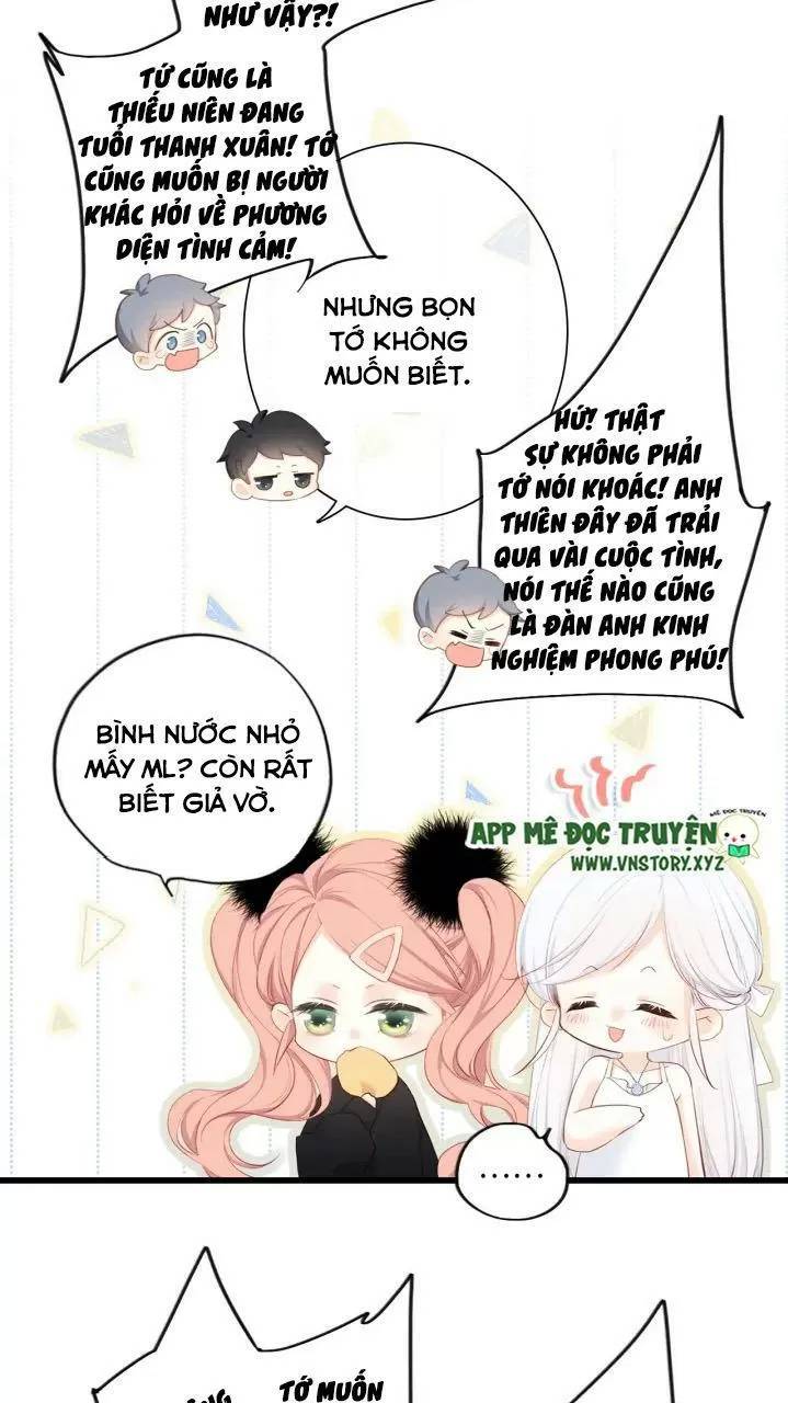 con tim rung động 2 chapter 120 31