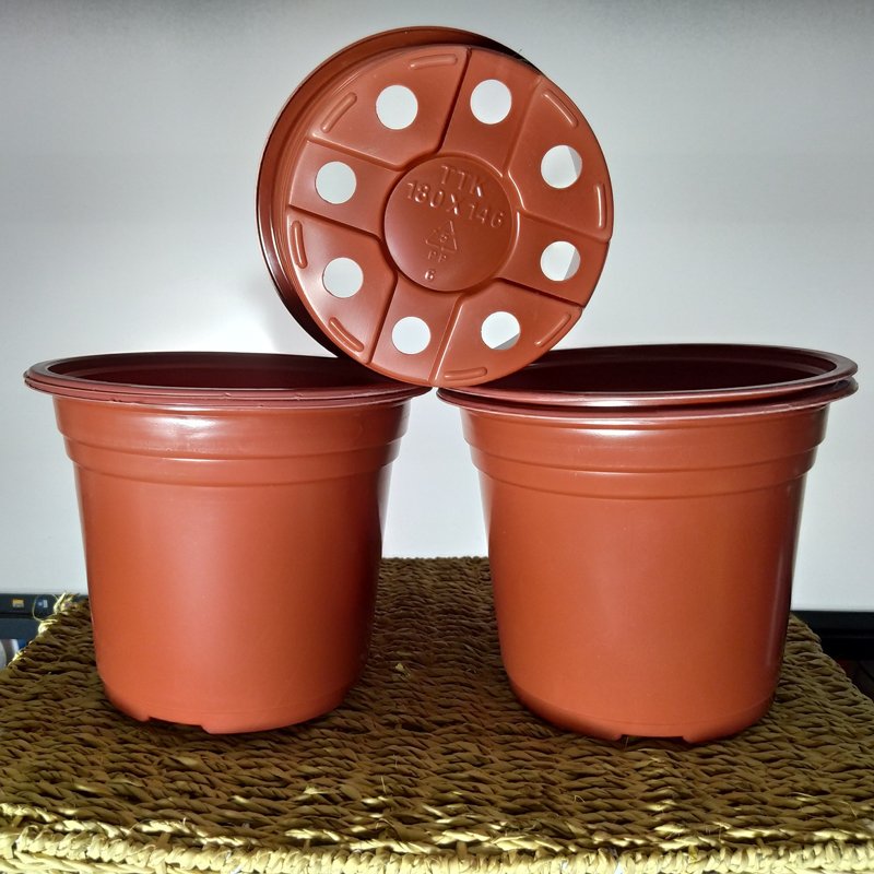 Combo 50 cái Chậu nhựa nâu N18x15cm trồng cây ăn trái và hoa,bền đẹp-77426