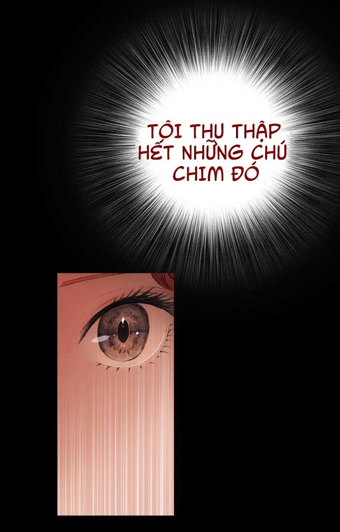 tôi chính là nhà sưu tập chim chapter 3 32