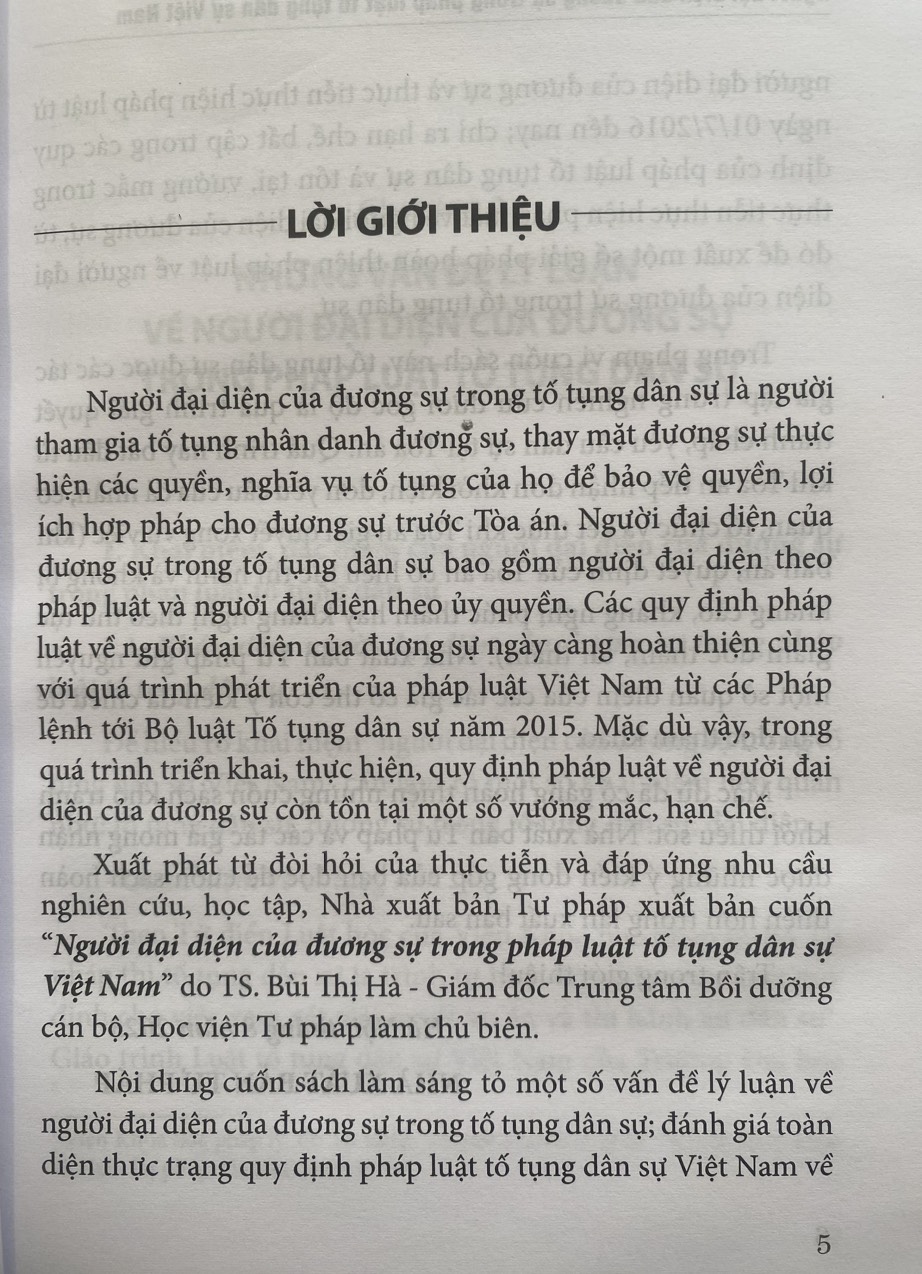 Người Đại Diện Của Dương Sự Trong Pháp Luật Tố Tụng Dân Sự Việt Nam