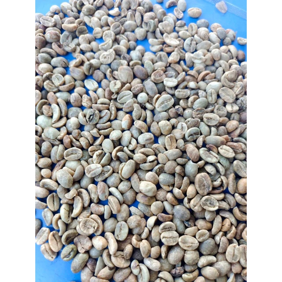 Sét 10kg Cà Phê Nhân ROBUSTA