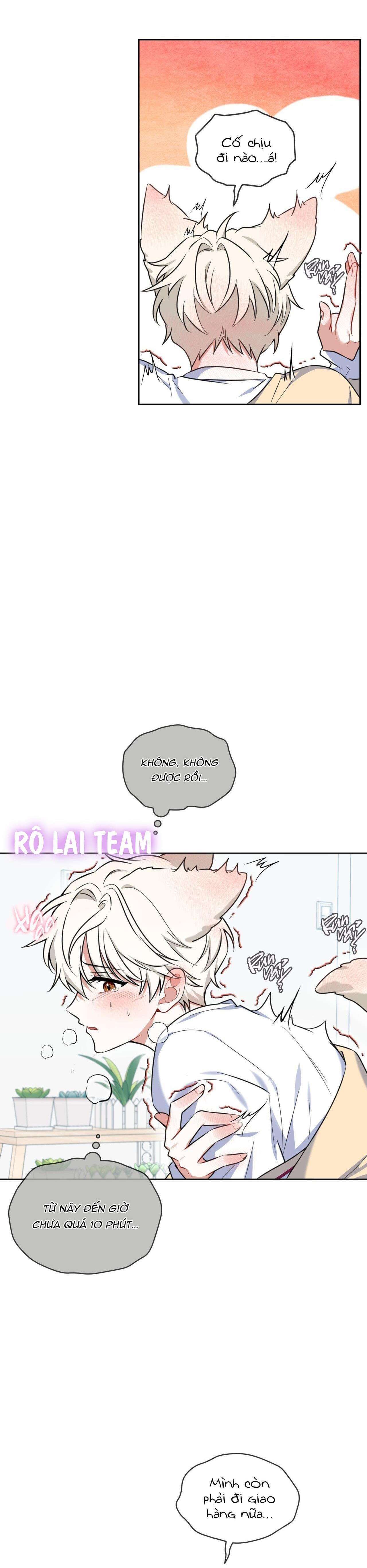 tiệm đồ uống cáo nhỏ chapter 2 9