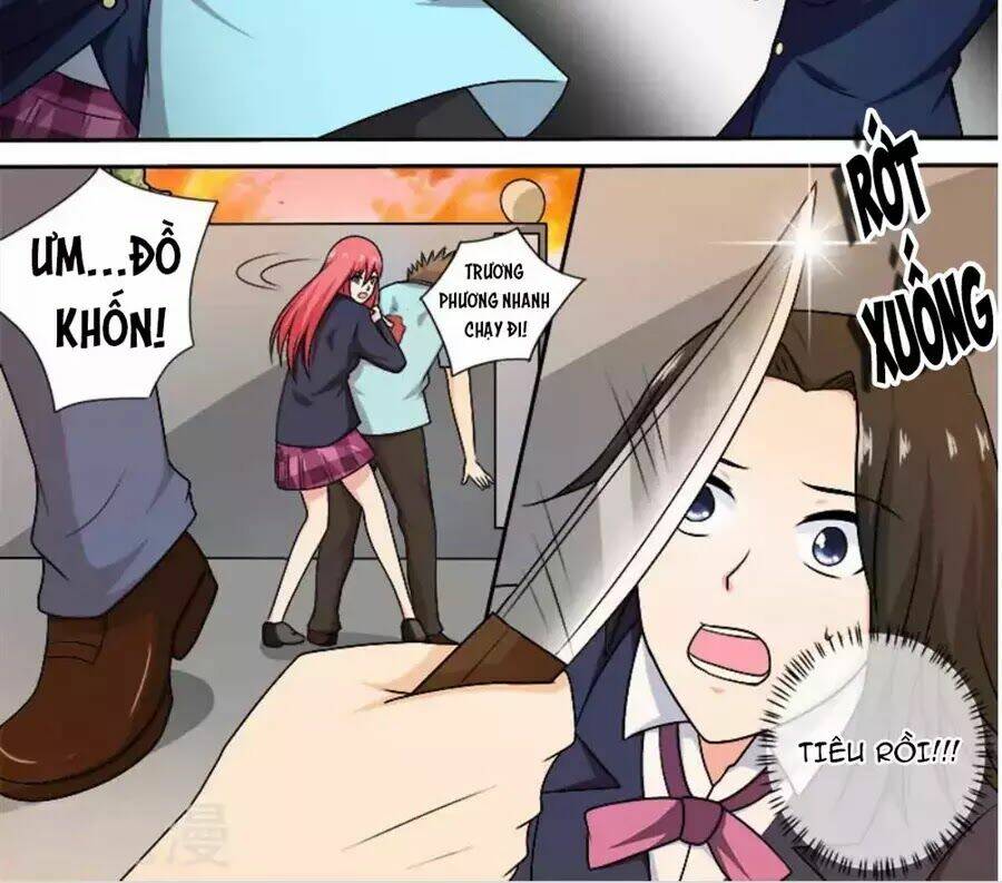 bạn trai hắc đạo của tôi chapter 279 12