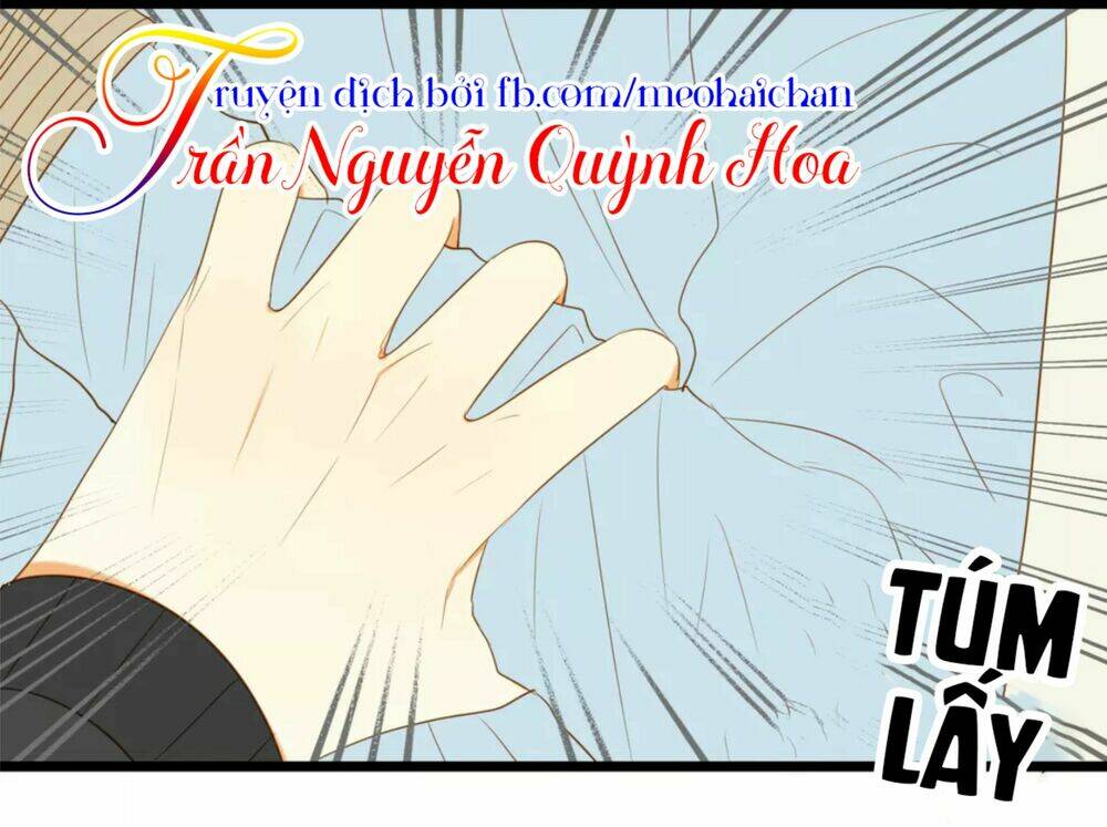 điều giáo quan hệ chapter 12 3