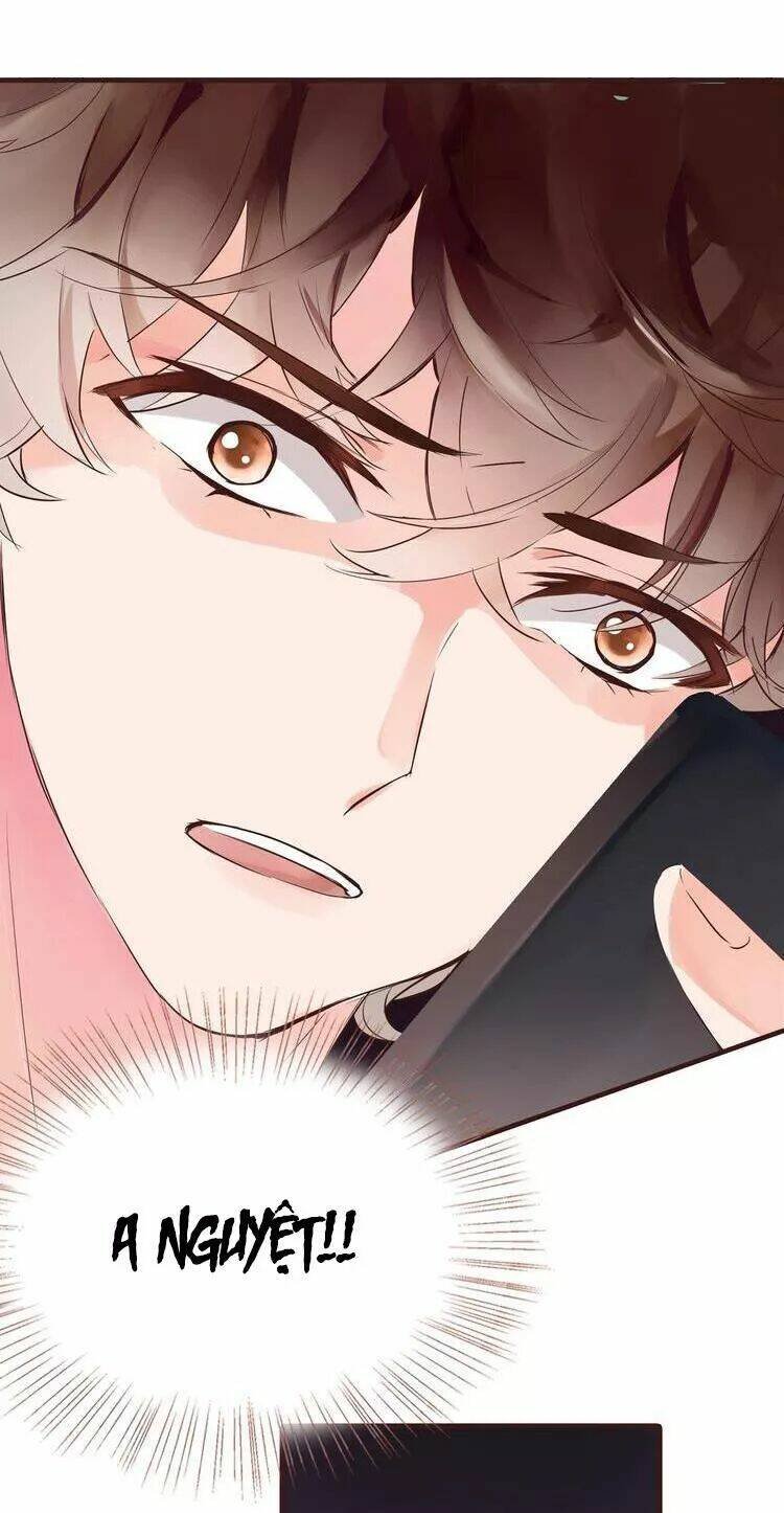 nở rộ trên bụi gai chapter 42 32