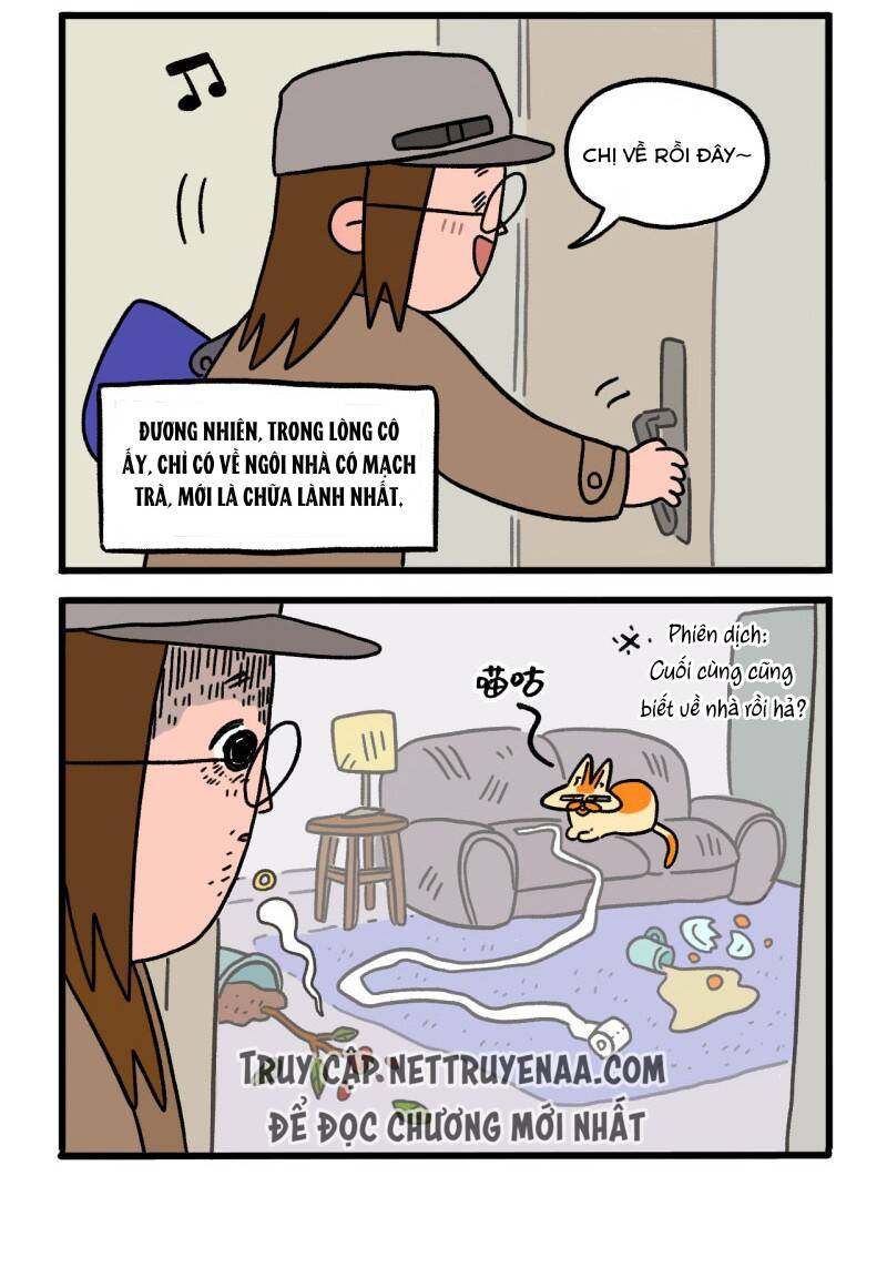 a mãn và mạch trà chapter 1 3