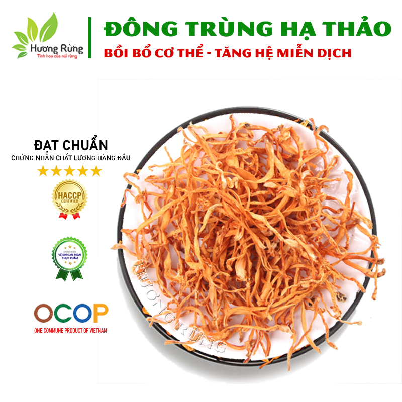 200g Đông trùng hạ thảo tự nhiên nguyên chất