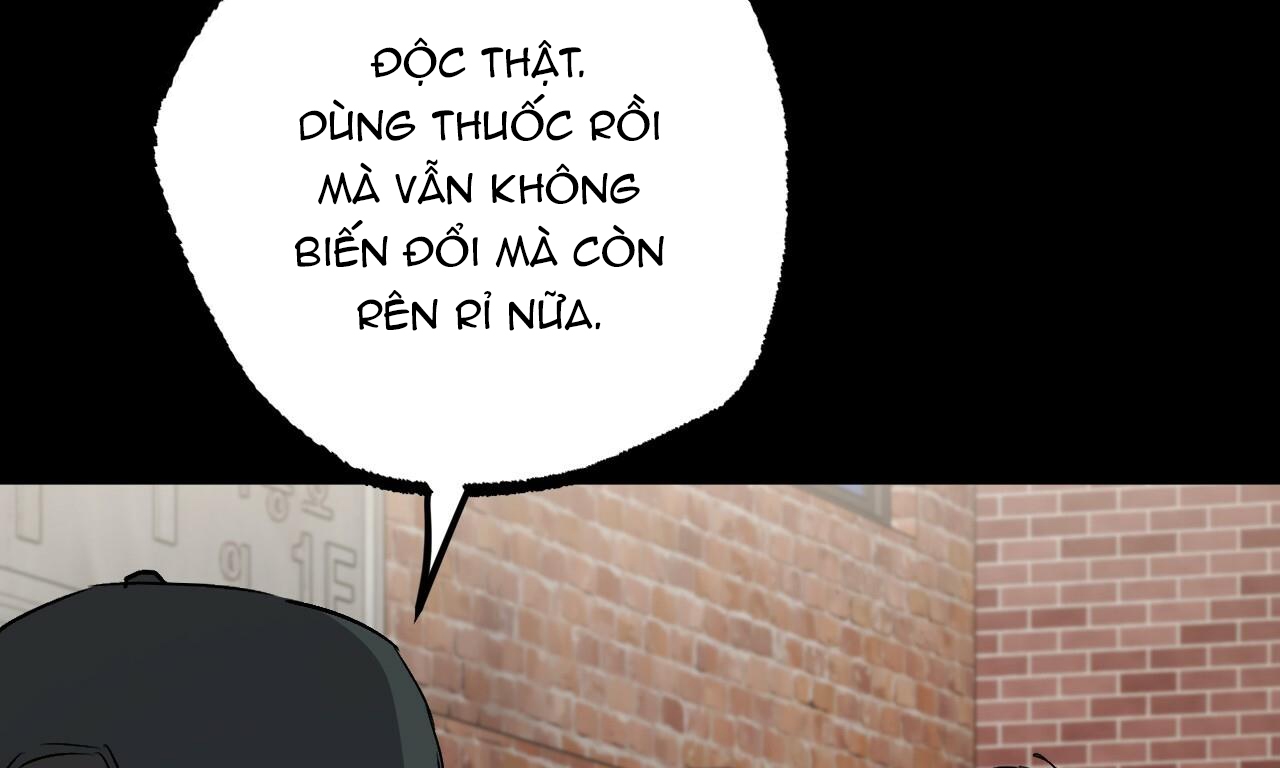 đàn thỏ của habibi chapter 45 89