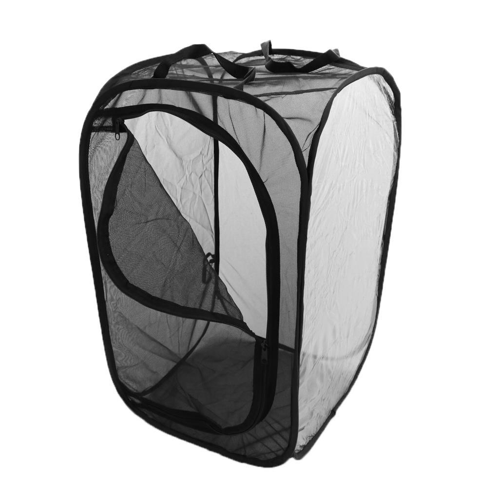 2 Pcs Insect Butterfly Raising Habitat -up Terrarium Insect Mesh Cage