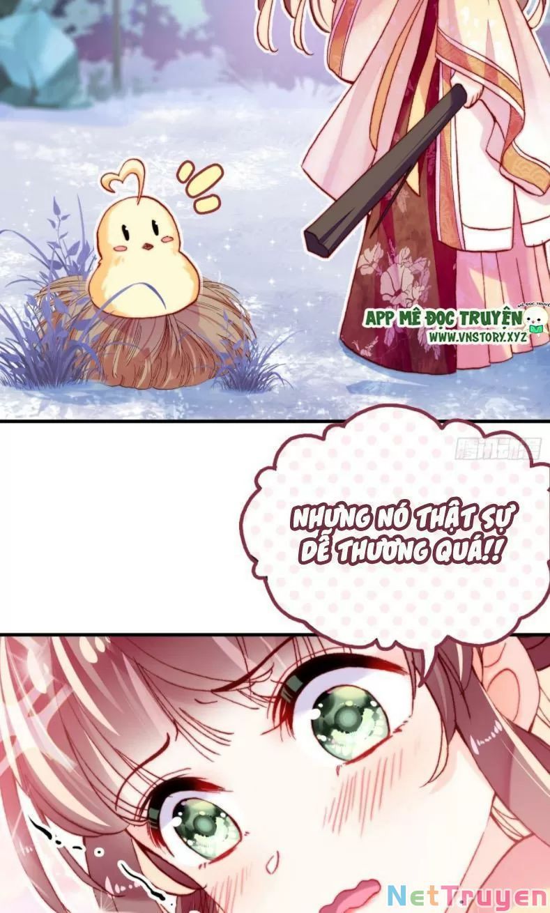 lại bị bệnh chiều chuộng quấn lấy chapter 12 10