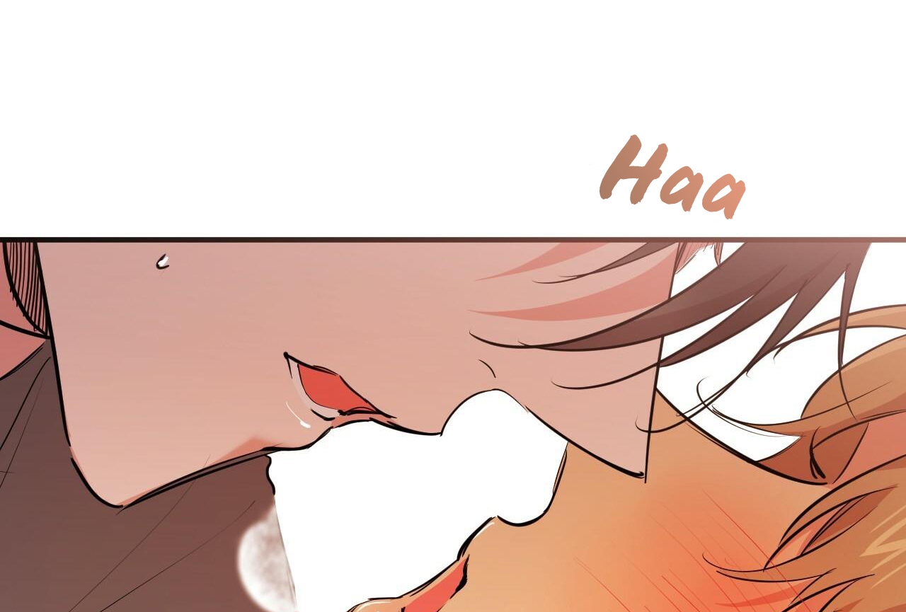 đàn thỏ của habibi chapter 28 185