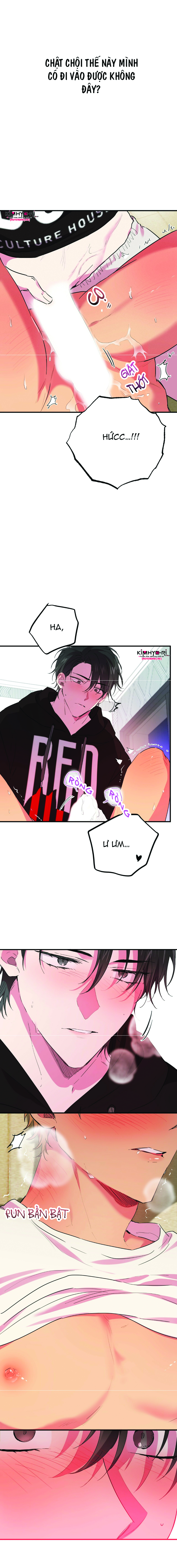 những chú thỏ của hapypy chapter 9 3