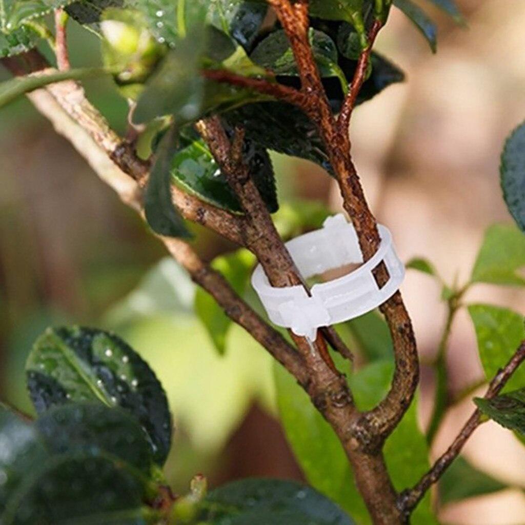 Artificial Plant Clip Gardening Clip Vine Fixing Clip Plastic Grafting Clip Plant Clip Reusable 50pcs/100PCS