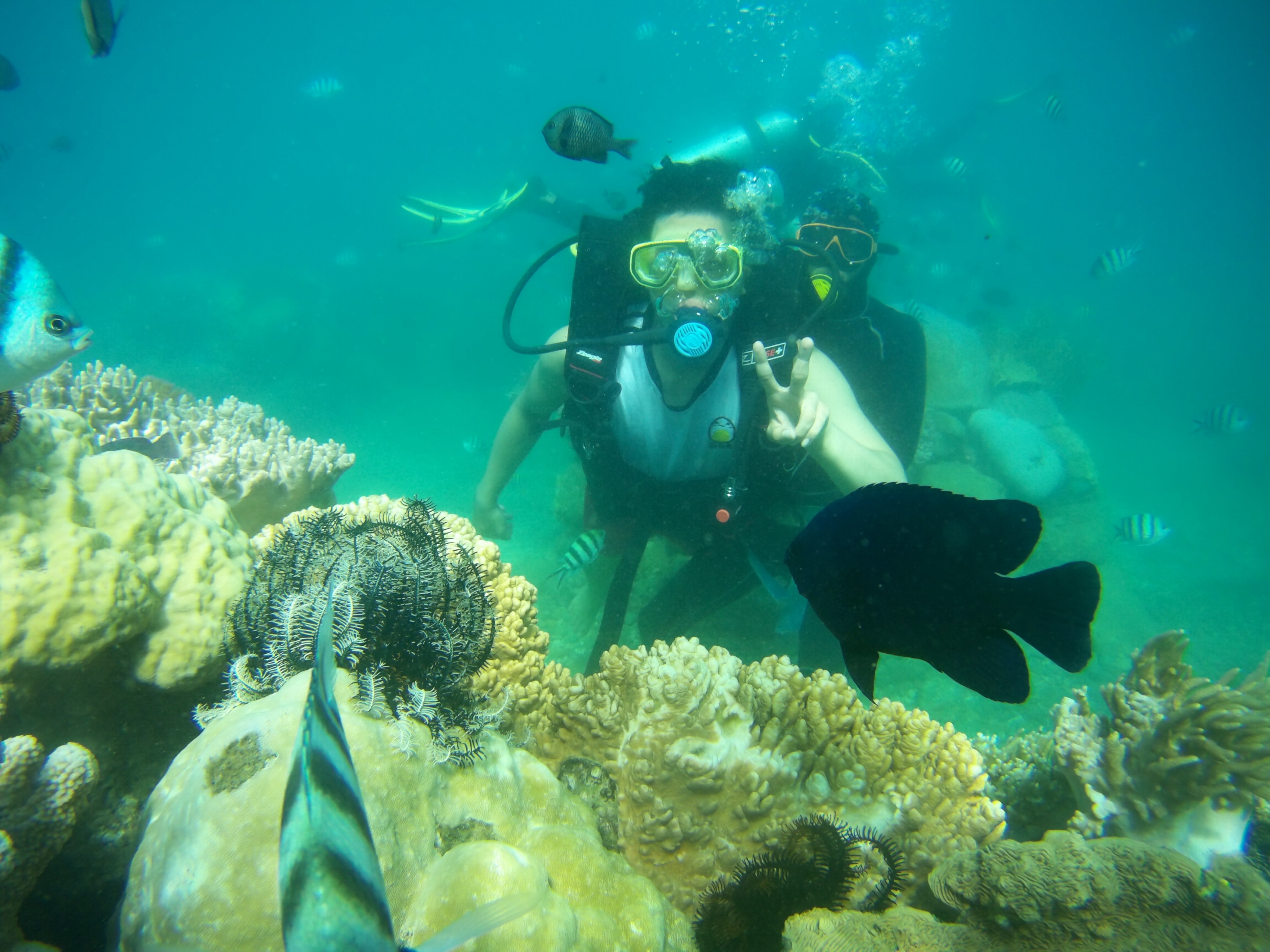 SCUBA DIVING  Phi Hành Gia Dưới Đáy Đại Dương với “Bình Dưỡng Khí”