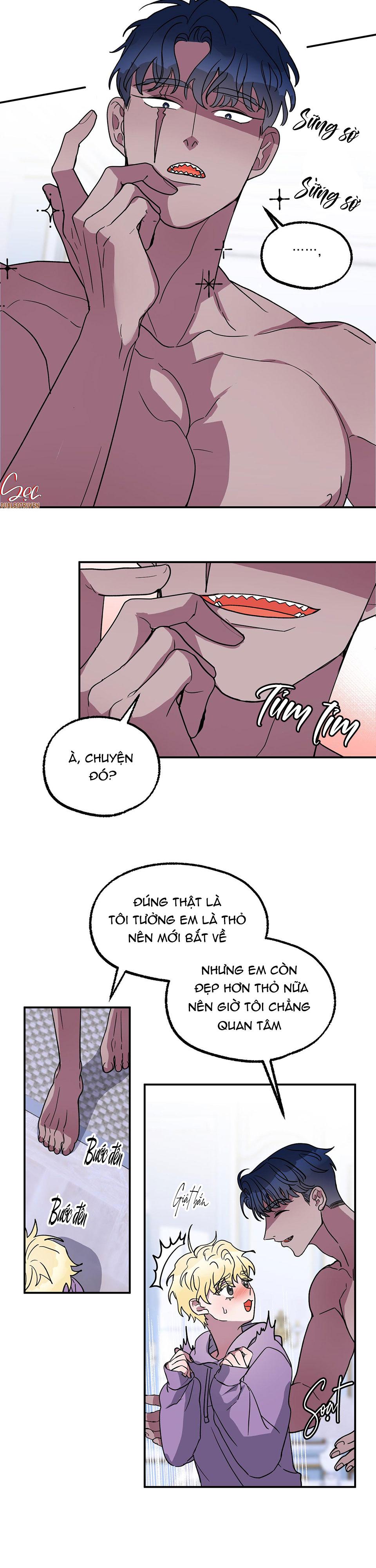 cá mập và cô dâu thỏ chapter 4 15