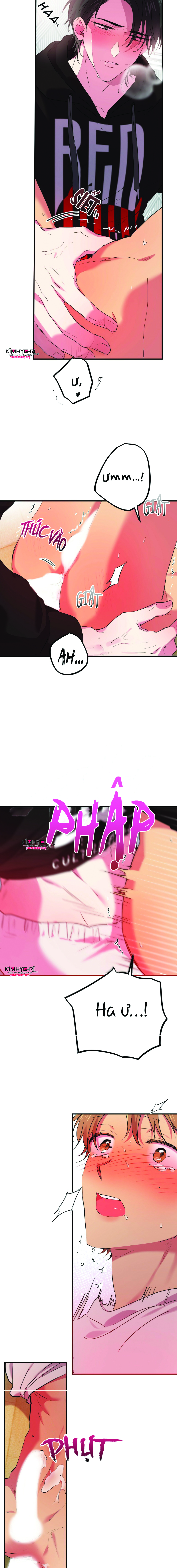 những chú thỏ của hapypy chapter 9 10