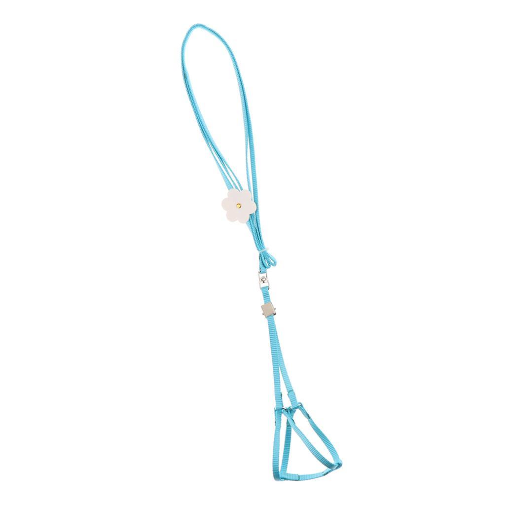 2 Pcs Light Soft Parrot Harness Birds Adjustable Leash Best Care to Pet