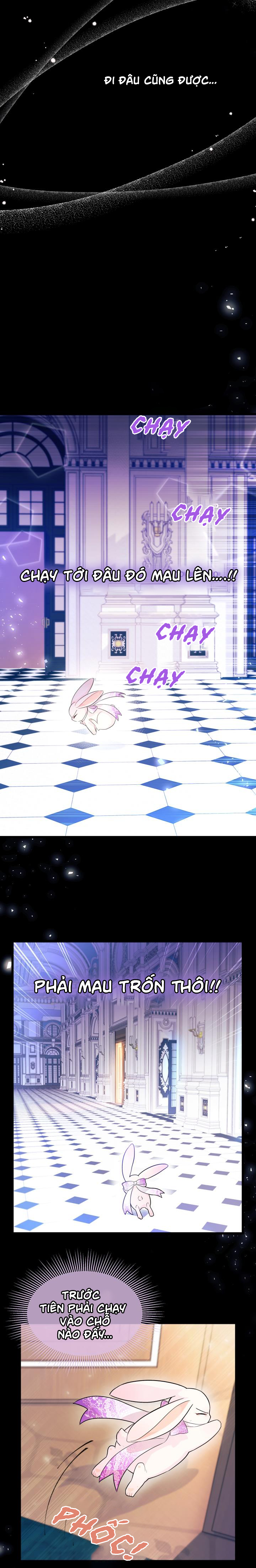 mối liên kết giữa báo đen và bé thỏ chapter 19 4