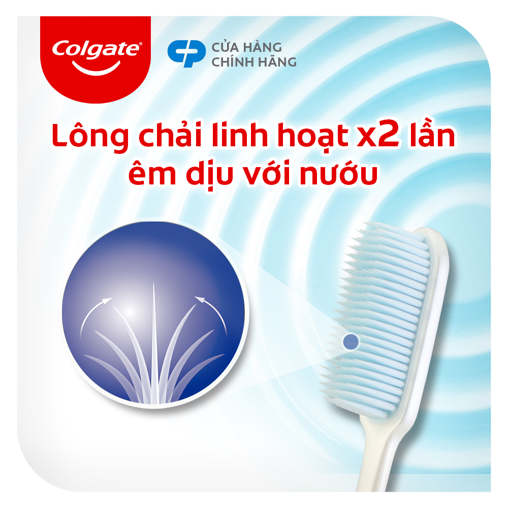 Combo 4 Bàn chải đánh răng Colgate SlimSoft Flex Clean