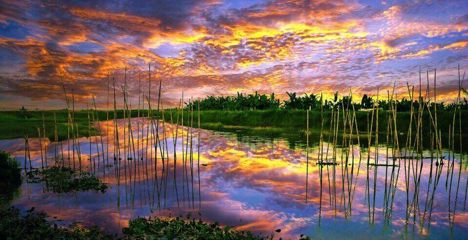 album natural wallpapers chapter 7 7