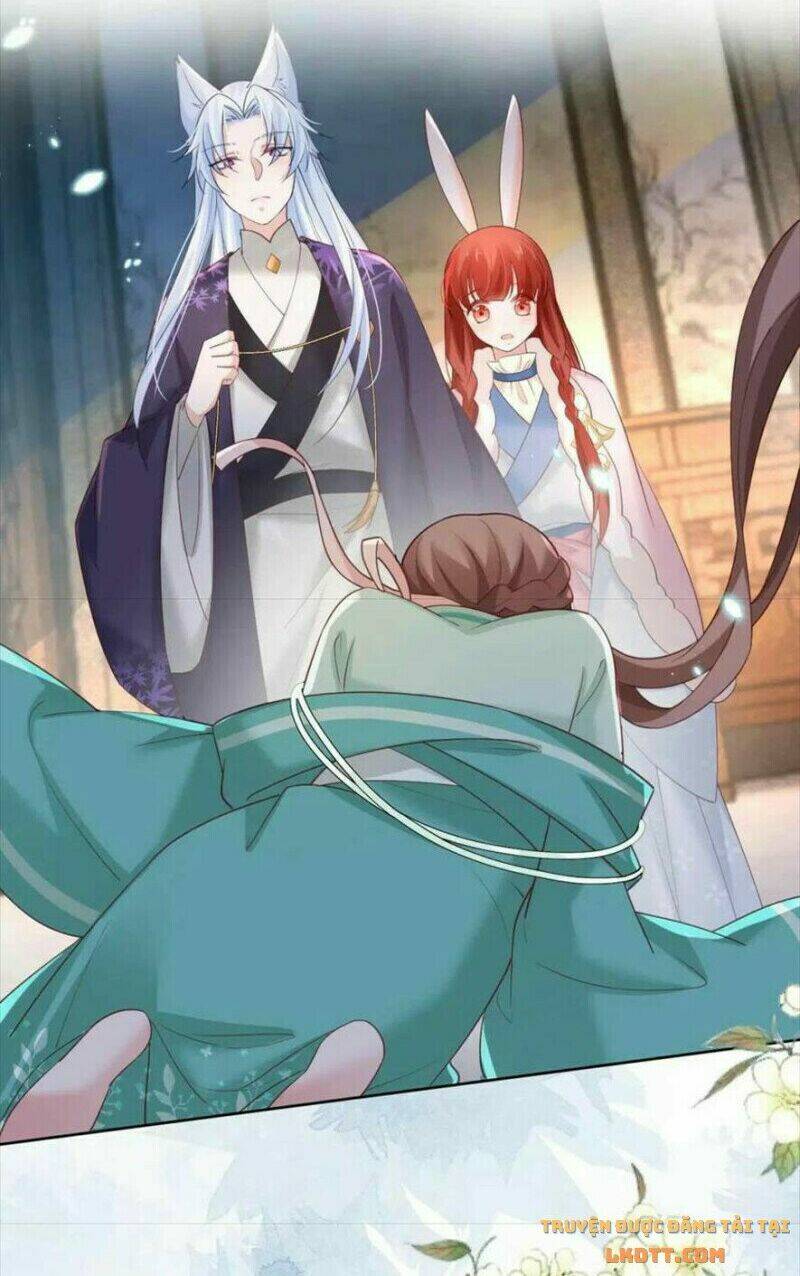 hắc hóa nam chính trực tuyến nuôi thỏ chapter 62 28