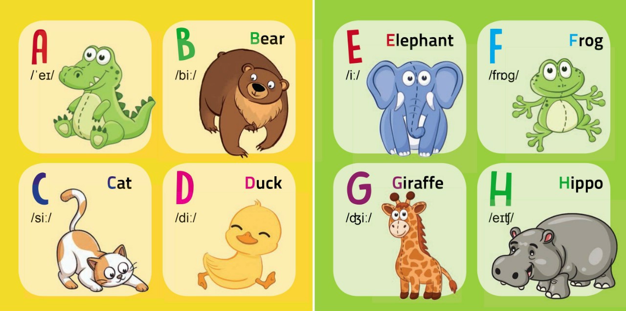 Thư Viện Hình Ảnh Đầu Tiên_My First Picture Book