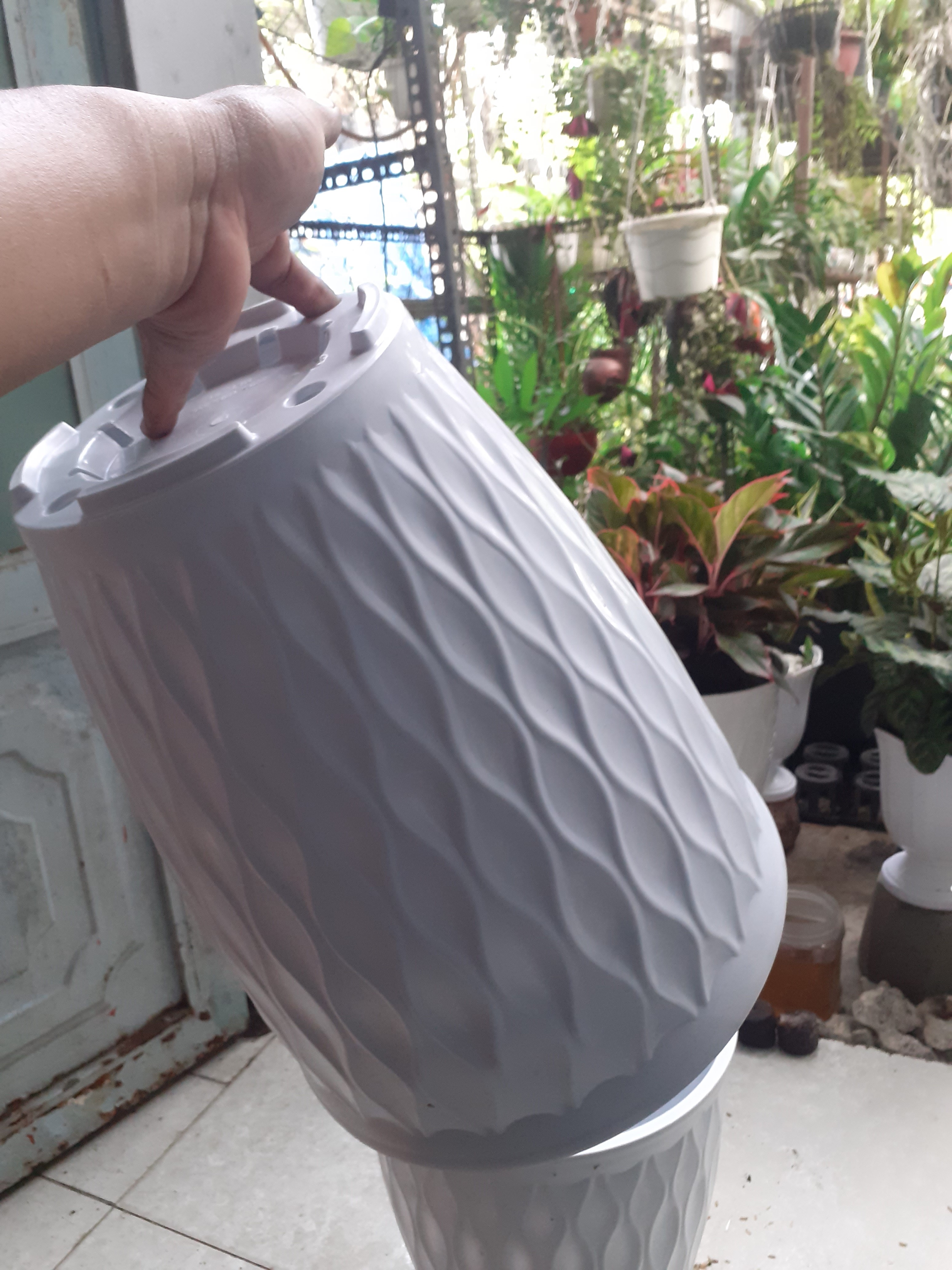 Combo 2 chậu mủ dày trồng kiểng vân sóng siêu đẹp, bền