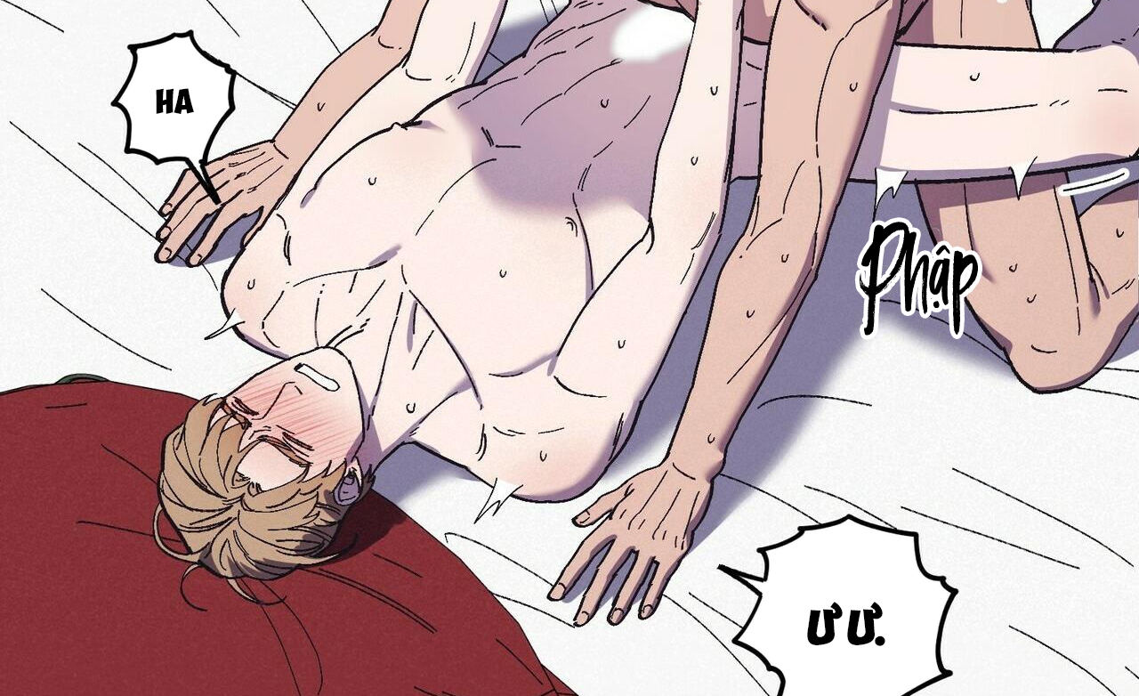 chàng dâu nhà họ kang chapter 29 148