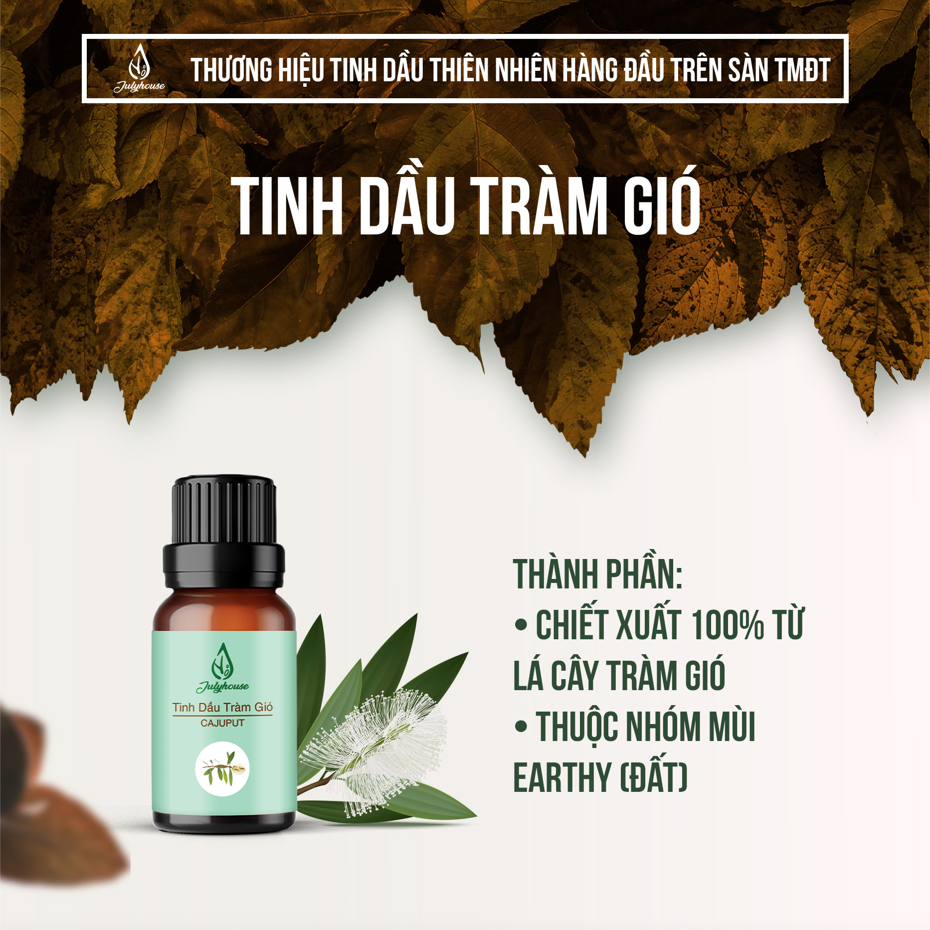 Tinh dầu tràm gió 10ml JULYHOUSE