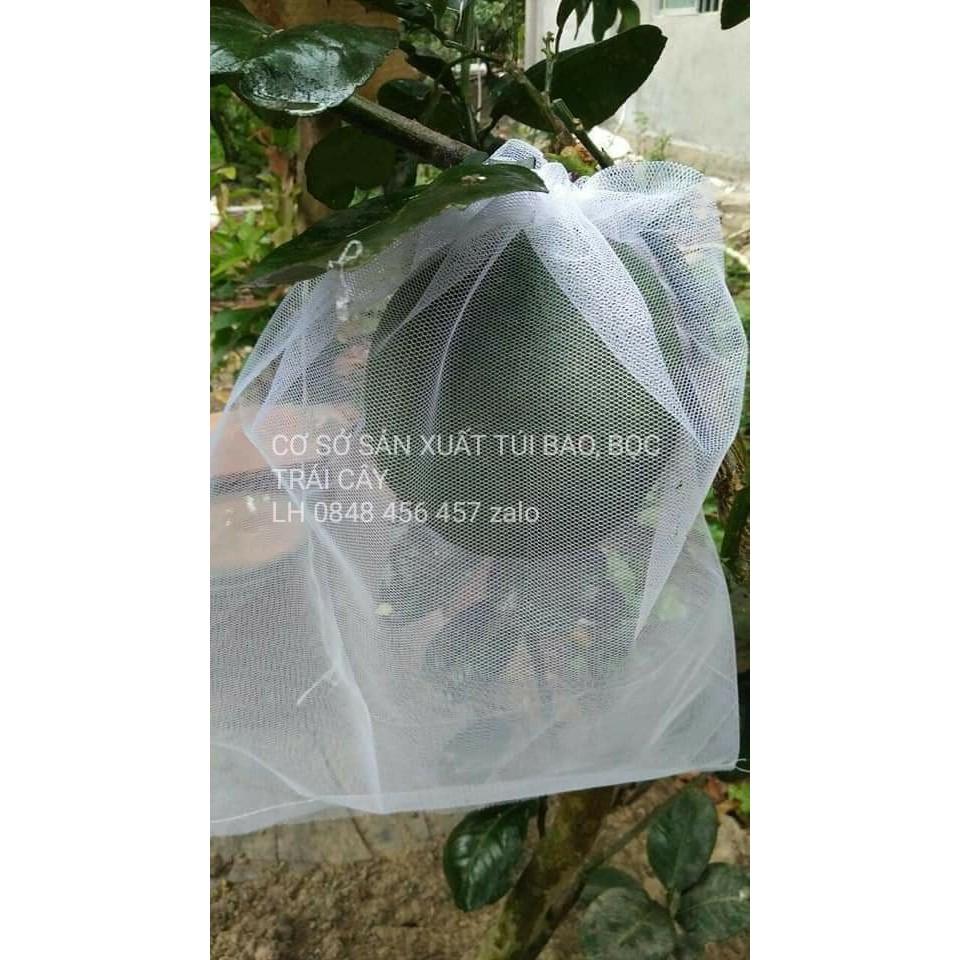 50 CÁI TÚI DÙNG ĐỂ BAO,BỌC NHO,NHÃN,BƯỞI DIỄM DA XANH