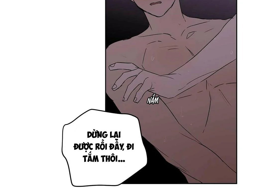 guide cấp b chapter 21 122